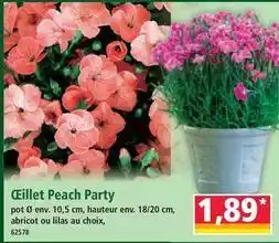 Norma Cillet peach party offre