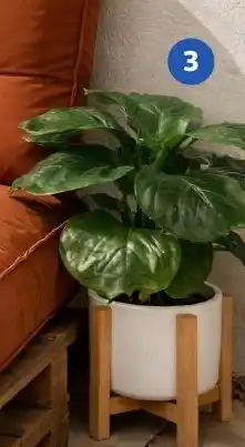 Auchan ACTUEL Plante artificielle offre