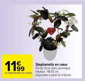 Carrefour Stephanotis en cœur offre