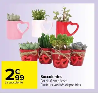 Succulentes
