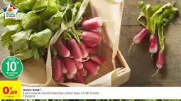 Intermarché Radis rose offre