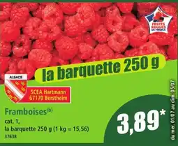 Norma Framboises offre