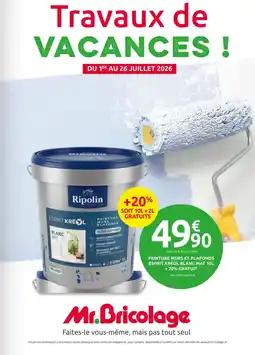 Mr Bricolage Peinture murs et plafonds esprit kréol blanc mat offre
