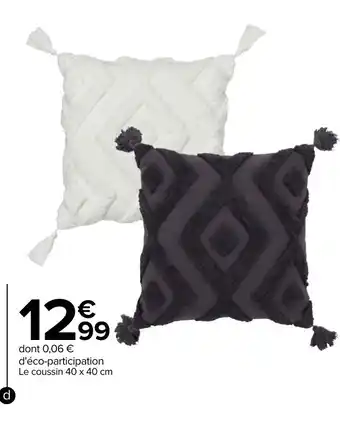 Carrefour Coussin "Atacama" offre