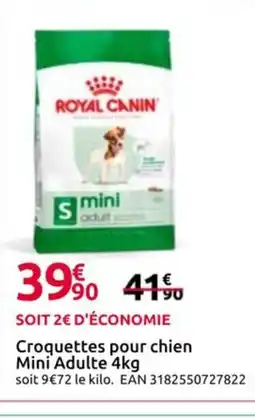 Mr Bricolage Croquettes pour chien Mini Adulte offre