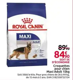 Mr Bricolage Croquettes pour chien Maxi Adult offre