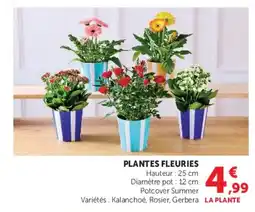 Hyper U Plantes fleuries offre