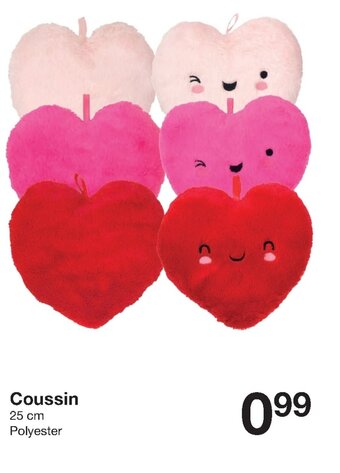 Zeeman Coussin offre
