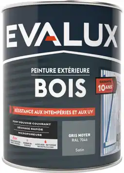 Brico Dépôt Peinture 0,75l bois acrylique offre