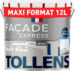 Brico Dépôt Peinture facade express blanc 12l offre