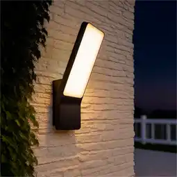 Brico Dépôt Applique murale led extérieure noire offre