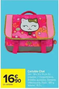 Carrefour Drive Dim - cartable chat offre