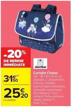 Carrefour Drive Dim - carable chaton offre