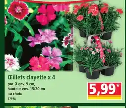 Norma Œillets clayette x 4 offre