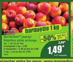 Norma Nectarines jaunes/ blanches selon arrivage offre