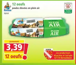 Norma 12 oeufs offre