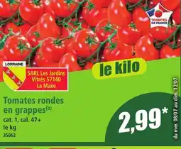 Norma Tomates rondes en grappes offre