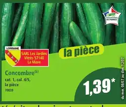 Norma Concombre offre