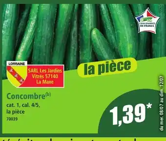 Norma Concombre offre