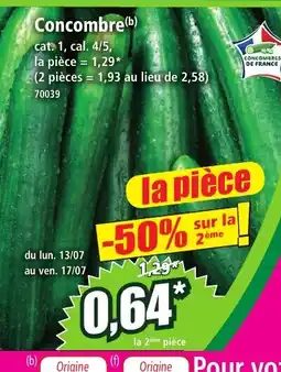 Norma Concombre offre