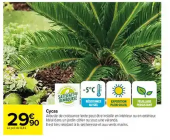 Carrefour Cycas offre