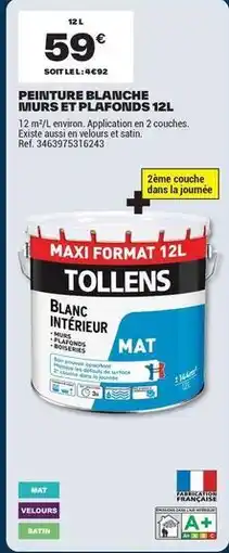 Brico Dépôt Tollens - peinture blanche offre