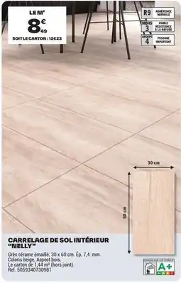 Brico Dépôt Carrelage de sol intérieur offre
