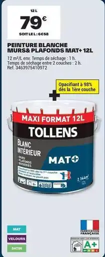 Brico Dépôt Tollens - peinture blanche murs&plafouds offre