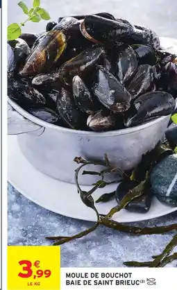 Intermarché Baie de saint brieuc moule de bouchot offre