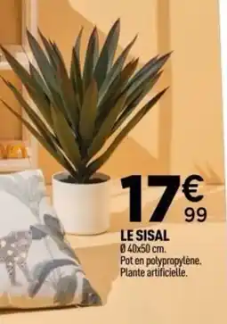 Centrakor Le sisal offre