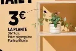 Centrakor La plante offre