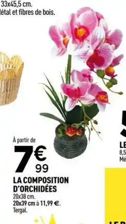 Centrakor La composition d'orchidées offre
