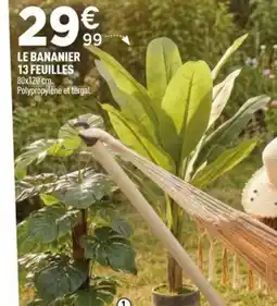Centrakor Le bananier 13 feuilles offre