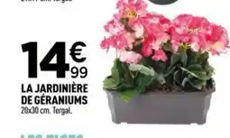Centrakor La jardinière de géraniums offre