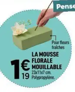 Centrakor La mousse florale mouillable offre