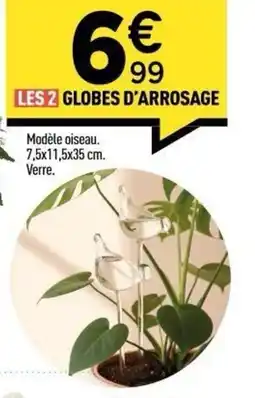Centrakor Les 2 globes d'arrosage offre