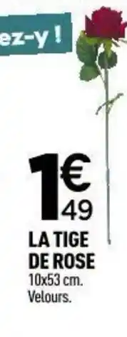 Centrakor La tige de rose offre