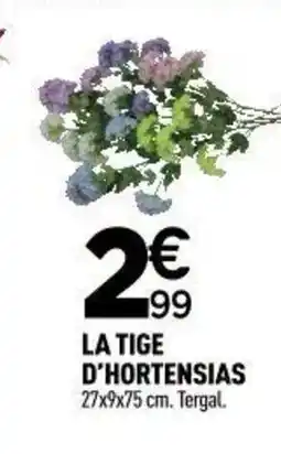 Centrakor La tige d'hortensia offre