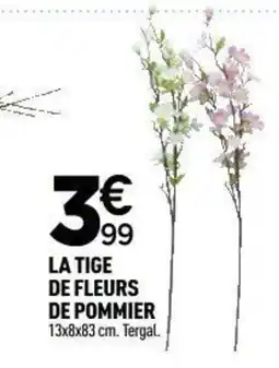 Centrakor La tige de fleurs de pommier offre