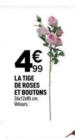 Centrakor La tige de roses et boutons offre