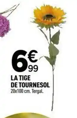 Centrakor La tige de tournesol offre