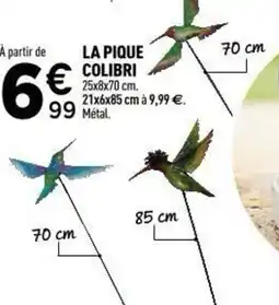 Centrakor La pique colibri offre