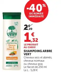 Super U SHAMPOING ARBRE VERT offre