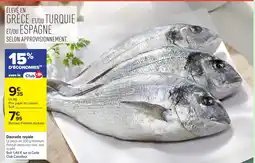 Carrefour Daurade royale offre