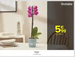 Carrefour Orchidée offre