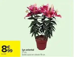 Carrefour Lys oriental offre
