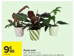 Carrefour Plante verte offre