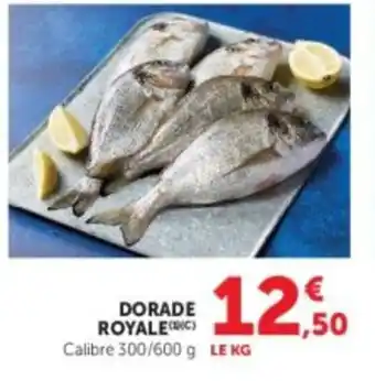 Dorade royale