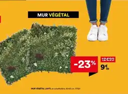 BUT Mur végétal offre