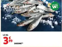 Auchan Sardine offre
